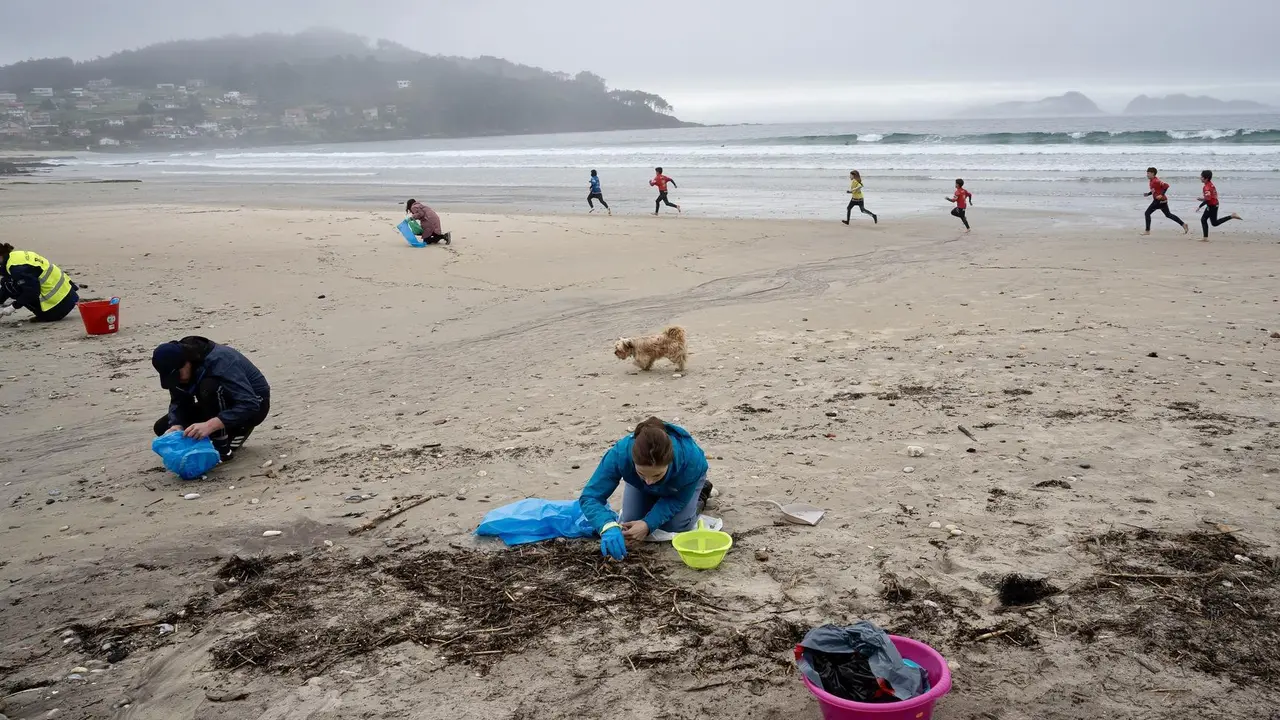 Voluntarios durante una limpieza de pellets, en la playa de Patos, a 15 de enero de 2024, en Nigr&aacute;n Pontevedra, Galicia (Espa&ntilde;a). El Concello de Nigr&aacute;n ha hecho un llamamiento para realizar otra jornada de limpieza en las playas de Prado y Patos. Esta nueva batida de limpieza se suma a las de la semana pasada, en las que llegaron a congregarse hasta 150 voluntarios. La labor de los voluntarios complementa a las tareas de limpieza que realizan los operarios contratados por la Xunta de Galicia, que han recogido el equivalente a 90 sacos de pellets en el litoral gallego y durante el fin de semana trabajaron en 56 playas de 34 ayuntamientos.,Image: 837322695, License: Rights-managed, Restrictions: , Model Release: no, Credit line: Adri&aacute;n Irago / Europa Press / ContactoPhoto