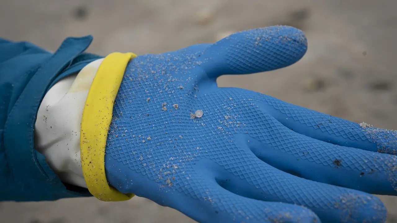 Limpieza y recogida de pellets, en la playa de Patos, a 15 de enero de 2024, en Nigr&aacute;n Pontevedra, Galicia (Espa&ntilde;a). El Concello de Nigr&aacute;n ha hecho un llamamiento para realizar otra jornada de limpieza en las playas de Prado y Patos. Esta nueva batida de limpieza se suma a las de la semana pasada, en las que llegaron a congregarse hasta 150 voluntarios. La labor de los voluntarios complementa a las tareas de limpieza que realizan los operarios contratados por la Xunta de Galicia, que han recogido el equivalente a 90 sacos de pellets en el litoral gallego y durante el fin de semana trabajaron en 56 playas de 34 ayuntamientos.,Image: 837322712, License: Rights-managed, Restrictions: , Model Release: no, Credit line: Adri&aacute;n Irago / Europa Press / ContactoPhoto
