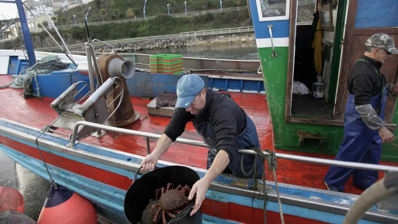 Ribadeo, Lugo. El Navarret, con base en Ribadeo, llega a puerto cargado de centollas y pescados de buen tama&ntilde;o para subastar en la Lonja de Burela.